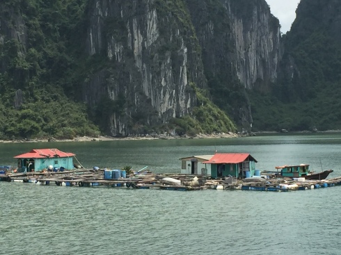 A floating fishing village in Halong Bay.